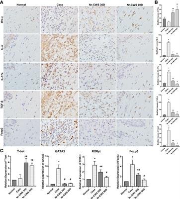 Nocardia rubra cell-wall skeleton activates an immune response in cervical tissue via stimulating FPR3 to enhance dendritic cell-mediated Th1 differentiation